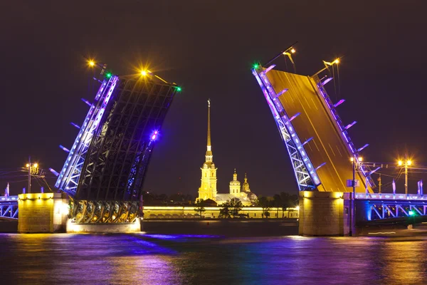 Russia. The symbol of Saint Petersburg - Palace Bridge divorced — Stock Photo, Image