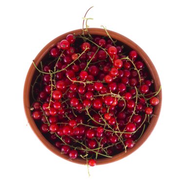 Beyaz arka plan üzerinde izole kahverengi bir kase kırmızı kuş üzümü