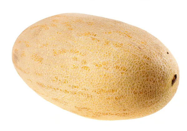 Mogen melon på vit bakgrund — Stockfoto