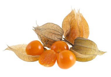 Beyaz arka planda physalis