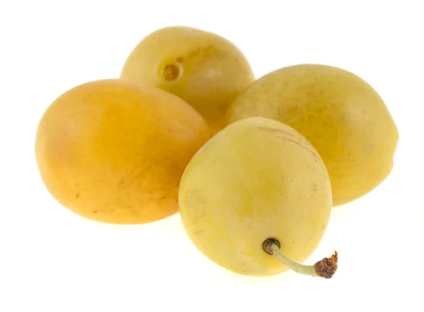 Four yellow plums on a white background — Stock Photo, Image