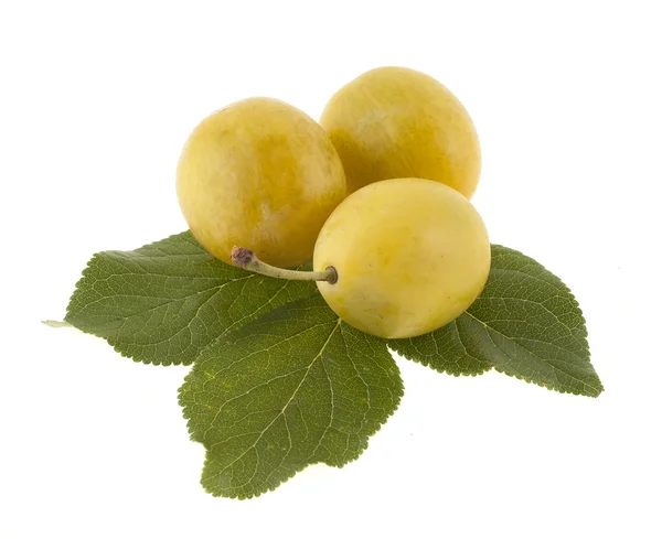 Tres ciruelas amarillas con hojas verdes sobre un fondo blanco — Foto de Stock