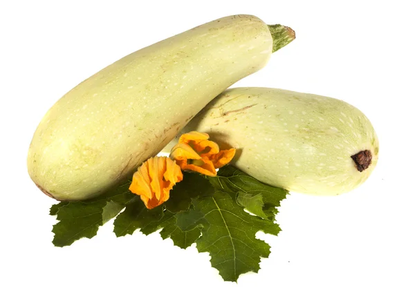 Two squash with green leaves isolated on white background — 图库照片