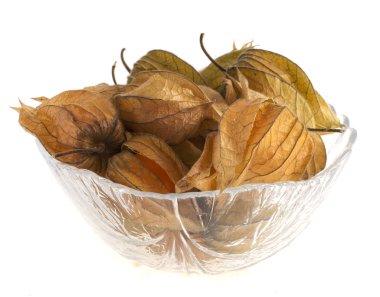 Physalis beyaz arka plan üzerinde izole cam vazoda