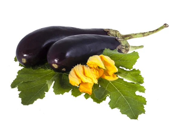 Aubergine und grünes Blatt auf weißem Hintergrund — Stockfoto