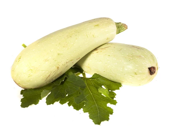 Two squash and green leaf on a white background — Stock Photo, Image