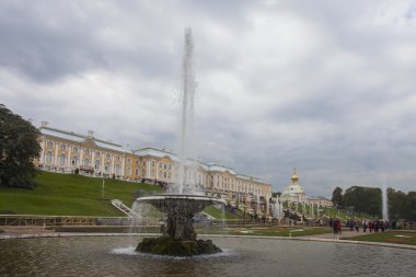 Rusya. Peterhof. Çeşme 