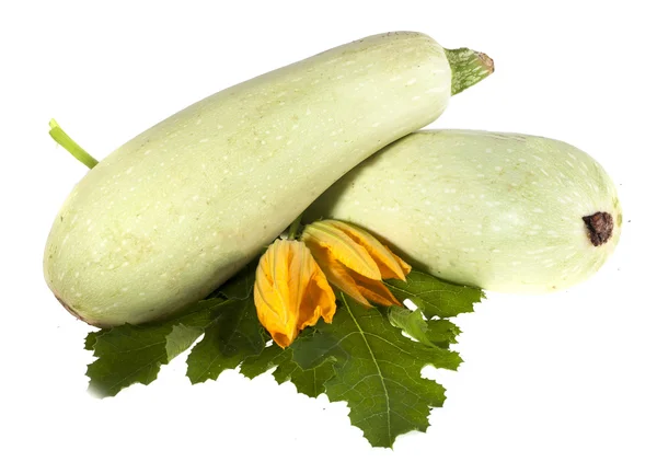 Two zucchini, green leaves and flowers on a white background — Stock Photo, Image