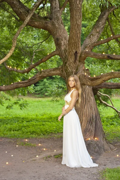 Retrato de fadas de menina bonita — Fotografia de Stock