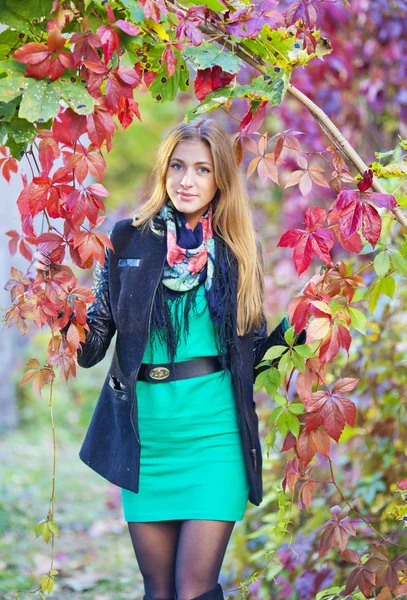 Retrato de una joven sobre el fondo de las hojas de otoño — Foto de Stock