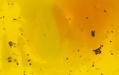 Doku doğal sarı sabunu