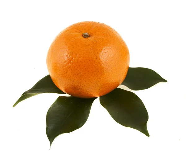 Mandarino con foglie verdi isolate su sfondo bianco — Foto Stock