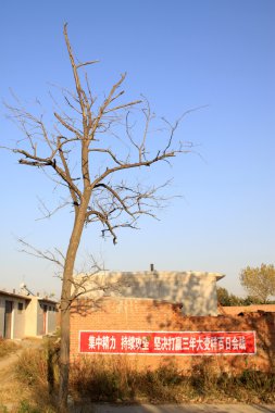 Kuru ağaç ve Çin yazıt