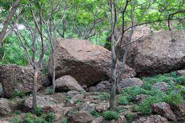 taşlar, kayalar manzara 