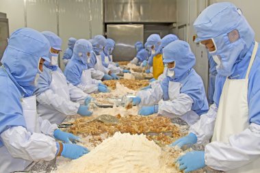 gıda işleme üretim hattı çalışanları