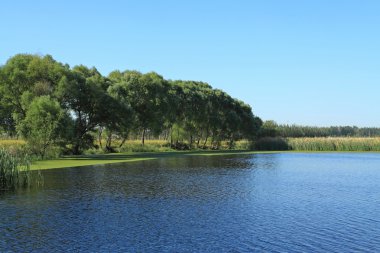 gölet, göl manzara