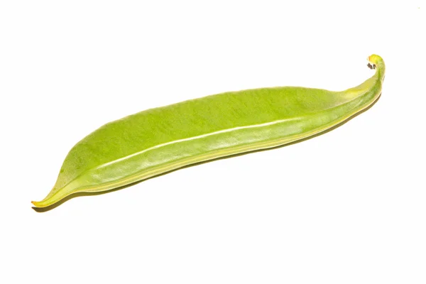 Green bean pod — Stockfoto