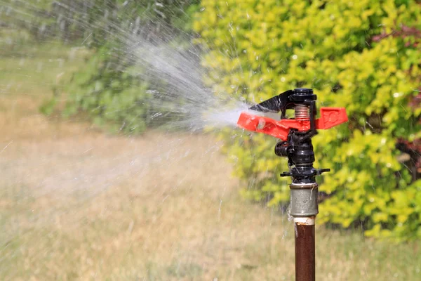 Spray irrigation — Stock Photo, Image