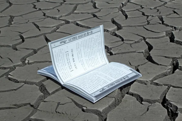 A book in the dry land — Stock Photo, Image