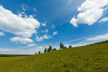 Otlak manzara closeup