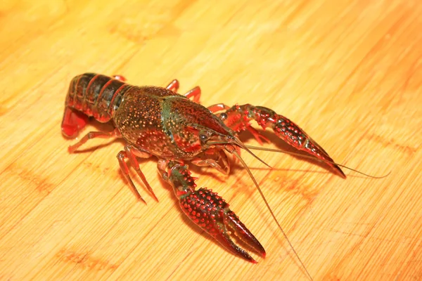 Close up van rivierkreeft op houten tafel — Stockfoto