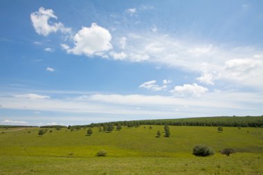 Chengde Saihanba manzara