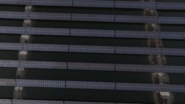 Kuzey Çin Ovası 'ndaki güneş fotovoltaik panelinin hava videosu.