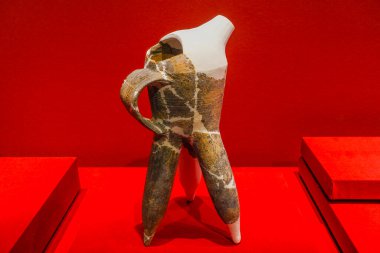 Çin Shang Hanedanlığı çömleği Sichuan 'da ortaya çıkarıldı.