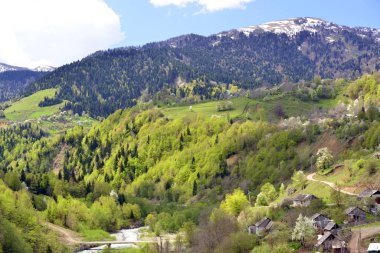 Spring in the Caucasus Mountains is a great time to travel