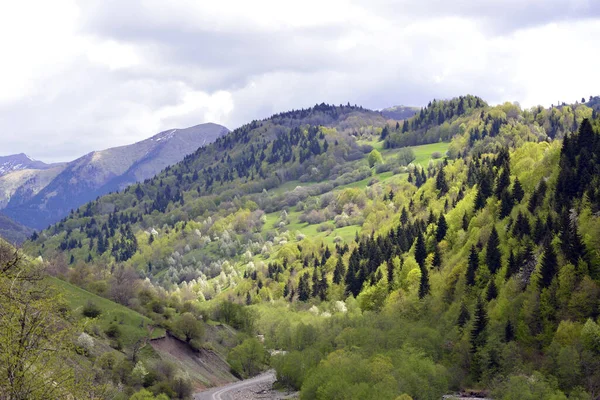 Spring Caucasus Mountains Great Time Travel — Fotografia de Stock