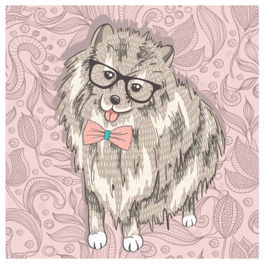 hipster spitz ile gözlük ve papyon. sevimli köpek resimde f