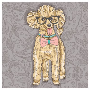Hipster poodle with glasses and bowtie. Cute puppy illustration for children and kids. Dog background.