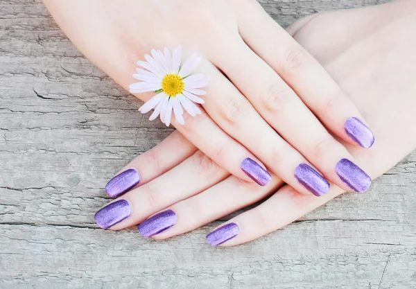 美丽的紫色指甲。特写 — 图库照片