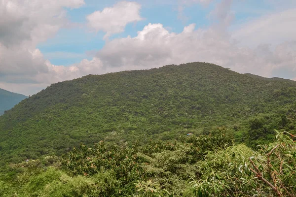 Deštný Prales Sanya China Džungle Kamenné Stavby — Stock fotografie