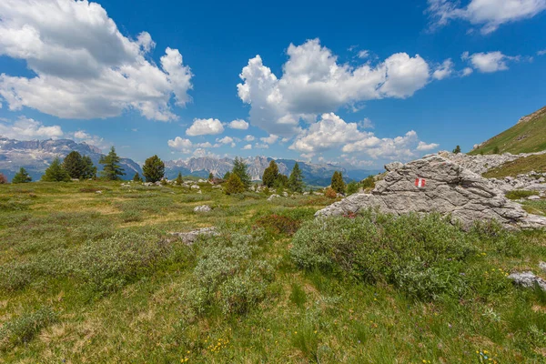Árboles solitarios y roca con un marcador de sendero — Foto de Stock