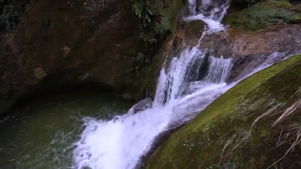 Detail malých vodopádů ve skalnaté rokli plné vegetace — Stock video