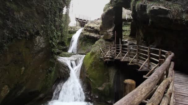 木の歩道がある植生でいっぱいの岩の峡谷の小さな滝 — ストック動画