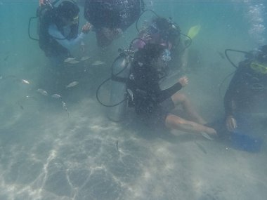 Mercan resiflerinin kumlu sığ sularında dalgıçlar
