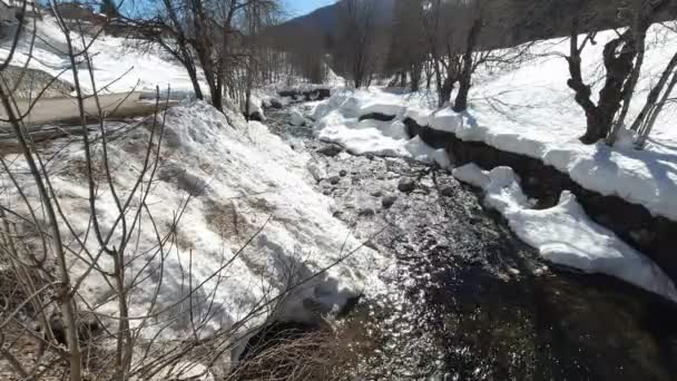 Río de montaña en un hermoso bosque de invierno — Vídeo de stock