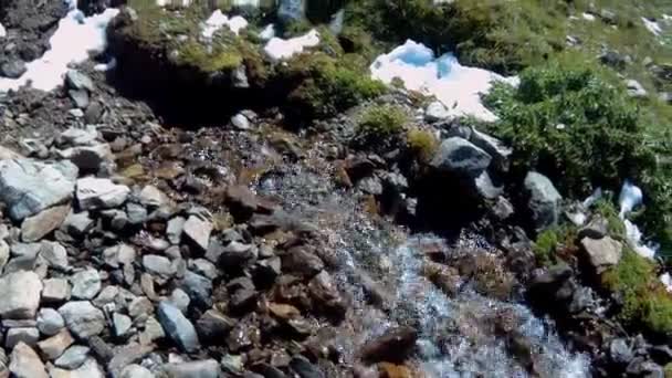 Panorama över en liten alpin bäck som rinner från berget — Stockvideo