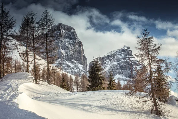 Hermoso panorama invernal del lado norte del Monte Pelmo detrás de los alerces —  Fotos de Stock
