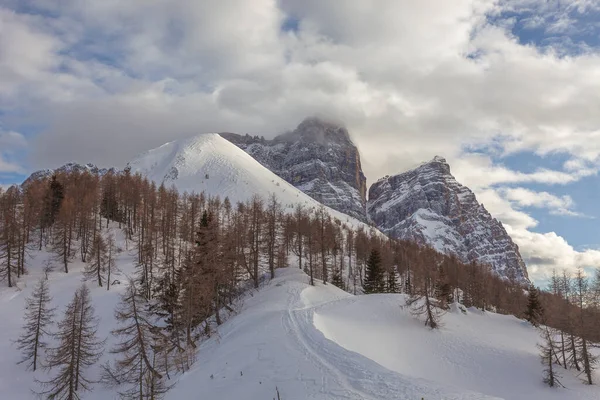 Piękna zimowa panorama północnej strony góry Pelmo za lasem modrzewiowym — Zdjęcie stockowe
