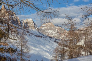 Sorapiss Dağı 'nın görkemli kış manzarası ve karaçam ağaçlarının, San Vito di Cadore' nin, Dolomites 'in, İtalya' nın ağaçlarının,