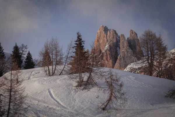 Karla Kaplı Tepenin Kayma Etkisi Arkasında Rocchetta Nın Dolomite Örümcekleri — Stok fotoğraf
