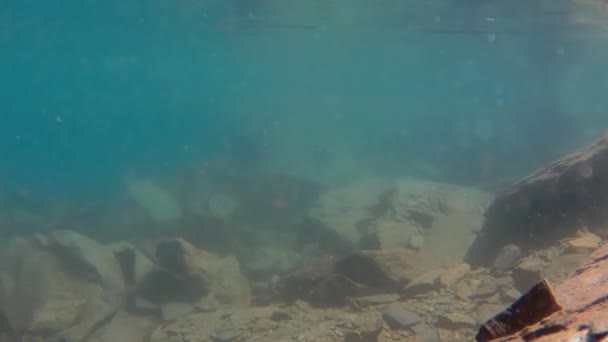 Lac alpin panorama sous-marin avec de grandes pierres sur le fond — Video