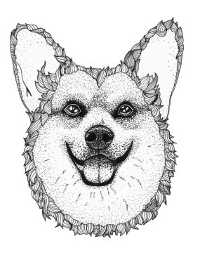 Corgi Dog 'un kafası çizilmiş. Mürekkep siyah beyaz çizim, izole