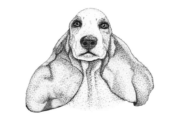 Spaniel Cão Cabeça Mão Desenhada Ilustração Tinta Desenho Preto Branco — Fotografia de Stock