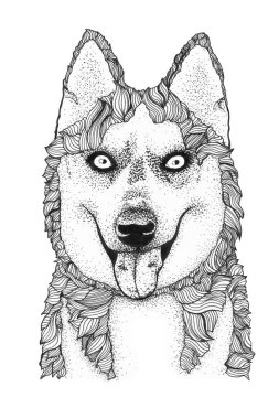 Alaska Husky köpek kafası çizimi. Mürekkep siyah beyaz çizim, izole.