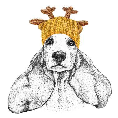 Altın örgülü şapkalı ve atkılı spanyel. Giyinik köpeğin el çizimi