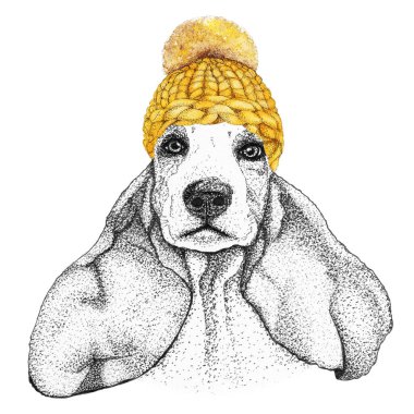 Altın örgülü şapkalı ve atkılı spanyel. Giyinik köpeğin el çizimi